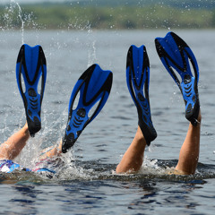 Bye Bye L'année Scolaire