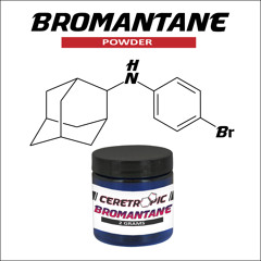 Temo & The Sunborn  - Bromantane (demo)