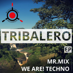 Tribalero ( Orginal Mix ) [ Ring Mode Rec]