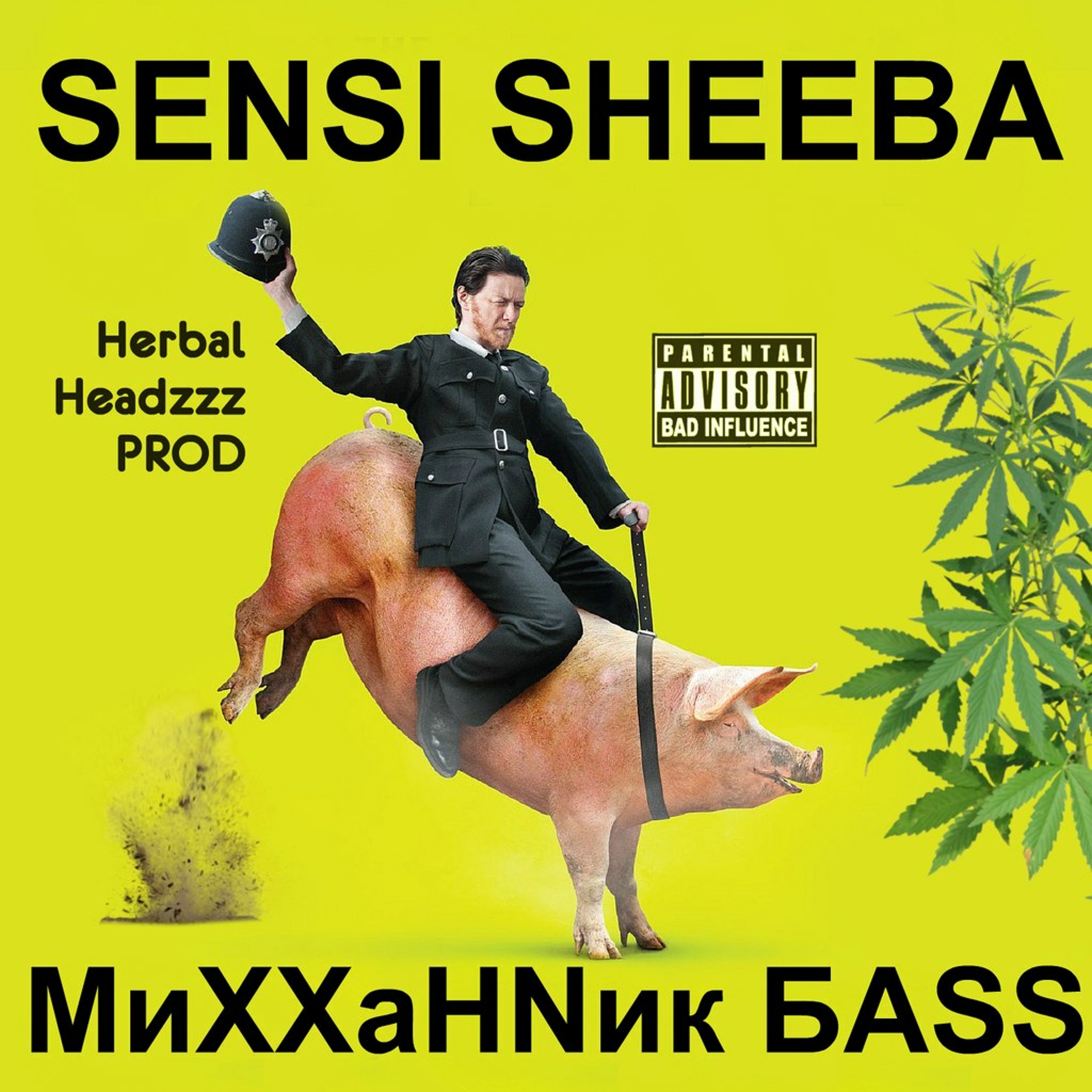 SENSI SHEEBA