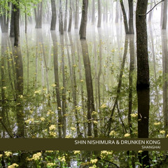 [BTWR003] Shin Nishimura & Drunken Kong - Shanghai EP - SAMPLER