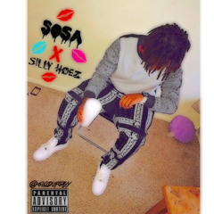 Leeky2Turntt~Silly Hoez (Feat. Pone)