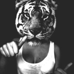 Jurassic 5 - Linguistics | Dominic Glover - Golden Swagger