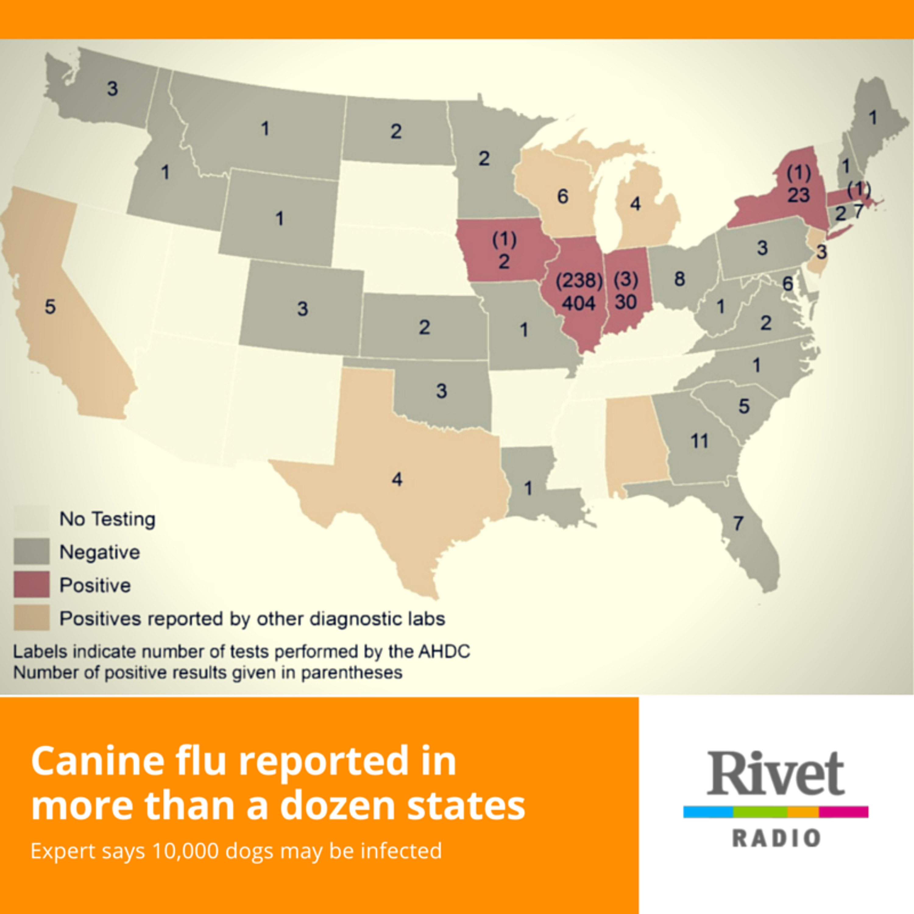 Canine flu reported in more than a dozen states episode artwork