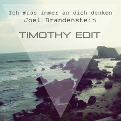 Ich Muss Immer An Dich Denken - Joel Brandenstein (Timothy Bootleg)