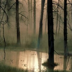 Corruption of Teldrassil (2015-16)// (Strings, vocals, speed composition)