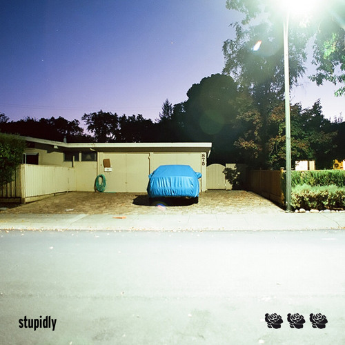 stupidly