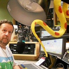 BBC Radio Oxford - Alex Lester (29/12/2014)
