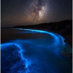 Deep Stealth - Ocean of Consciousness(OUT NOW OMNIEP166)