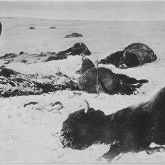 ❖❖╠ ╡y℘∩☼ℙøℳ⊇≀₡ Δℒ⊂ø©ℌ℩‖z ☩ ℕ℈∪®ø@ℝ⊂₮⇡ℂ ₢®ø₮₮øz❖❖