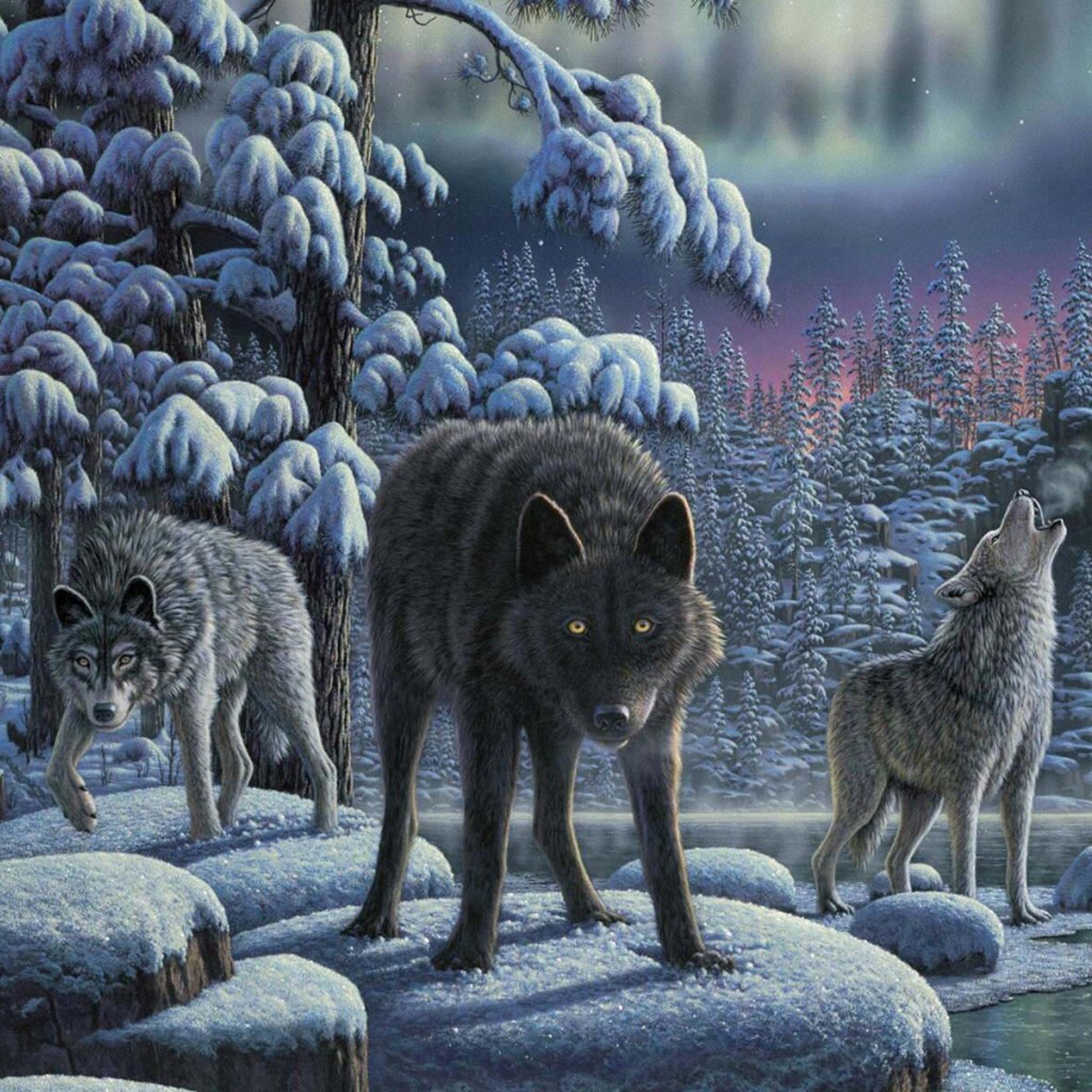 Watch For The Wolves episode artwork