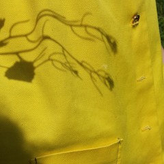 Nina and Lia - Lake Louisa, Someday