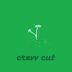 suede dunks/brown loafers