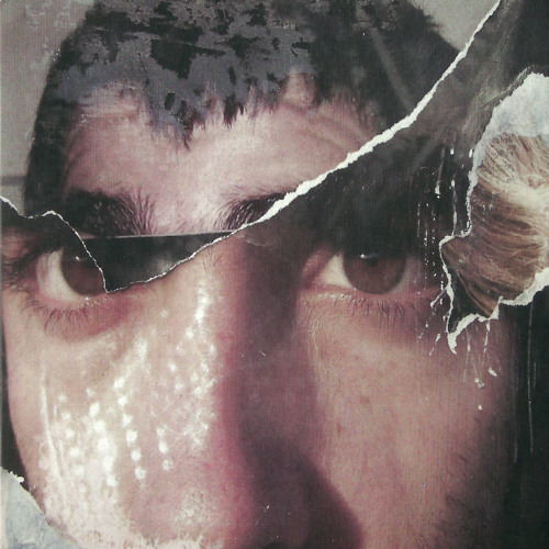 Pedro Piedra - Inteligencia dormida
