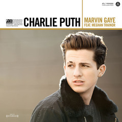 Charlie Puth- Mavrvin Gaye ft. Meghan Trainor (Tropical House Mix)