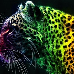 Bright Color