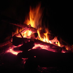 The Baddest Of The Bonfire