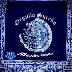 lil t real gang bangers.mp3