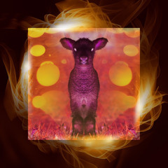 Pentecost - The Red Lamb