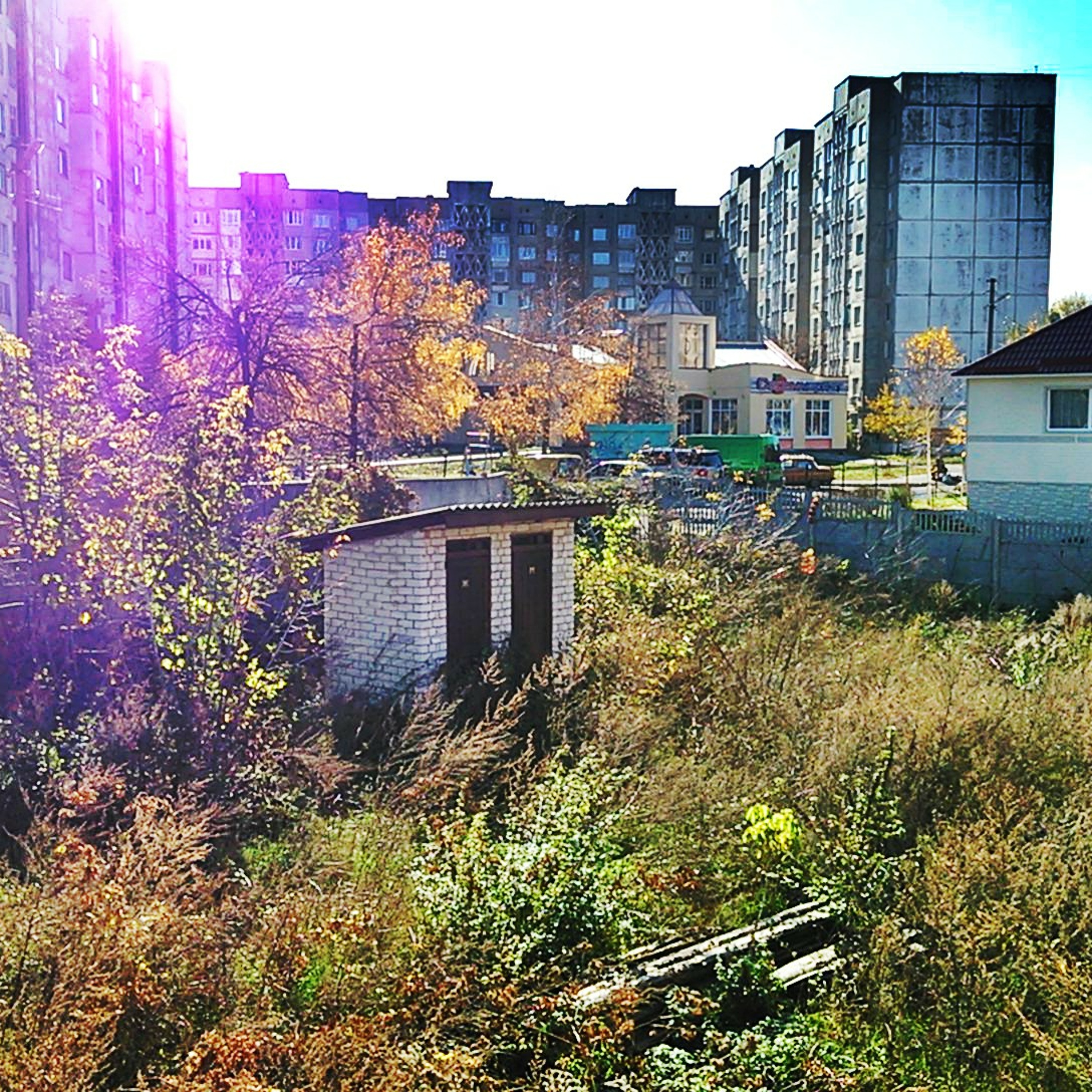 Dimbka