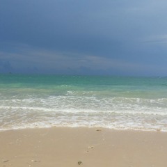 อยู่ที่เรียนรู้อยู่ที่ยอมรับมัน Cover Praemono