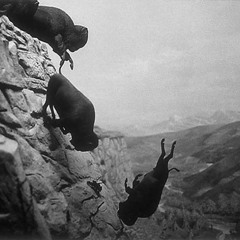 This Endless Breath demo