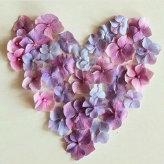 Kepingan hati-Terry Cover