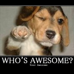 Awesome Matarile Mix [May 2015]