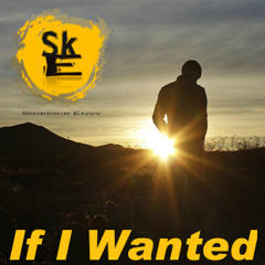 If I Wanted