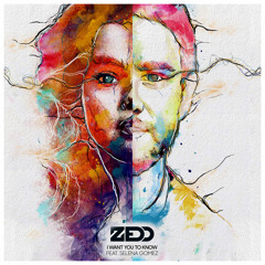 Zedd feat. Selena Gomez - I Want You To Know (Luvo Remix) [Radio Edit]