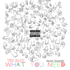 Tre Ross - WHAT YOU NEED (Produced by Srabi Machine)