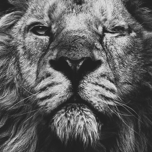 Kaskade & Deadmau5- Move For Me (Fox Kill Remix)