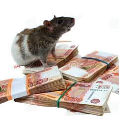 avant-gout du prochain tube de la street-tape #souris_millionnaire sofric blaz