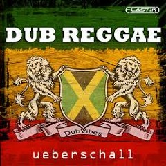 DuB Reggae Mix