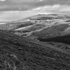 College Valley (extract) - Ring Ouzel