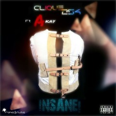 Insane ft Akay