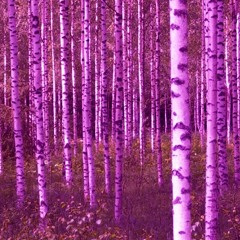 George Kaplan - Introducerad (Nedskruvad)