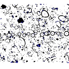 Centroids (out in 2007 - Free DL )