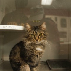 Renny the Box Beater (MUSIC VIDEO IN DESCRIPTION