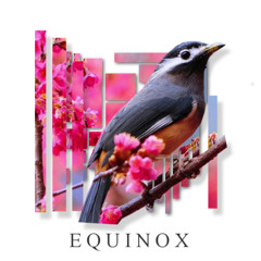 Equinox
