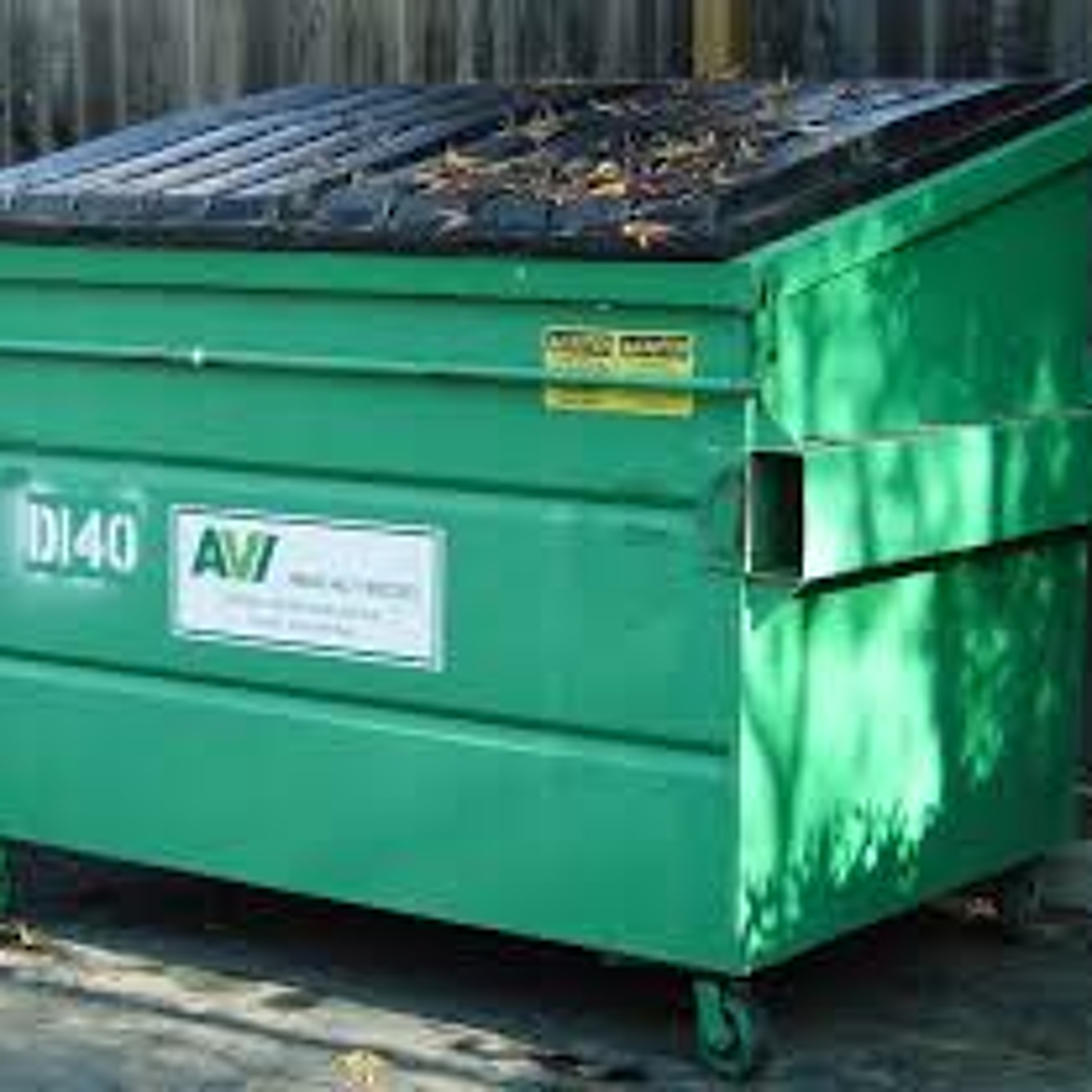 Episode 5: "Beautiful Dumpster" episode artwork