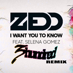 I Want You To Know (300 Remix)