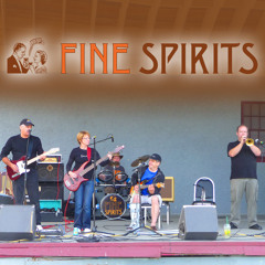 Suspicious Minds (Elvis P / Dwight Y cover)