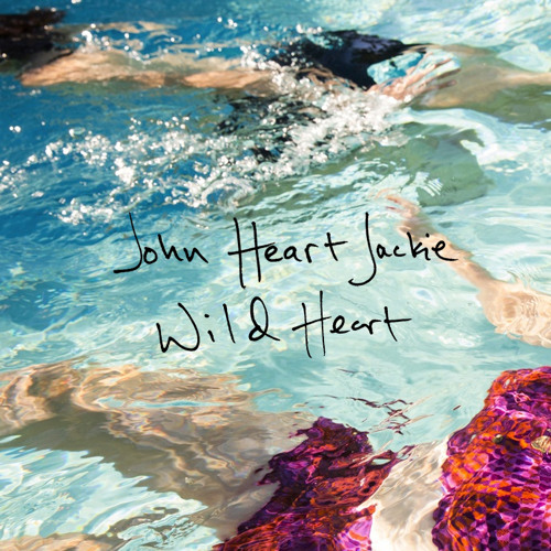 Wild Heart (Stevie Nicks Cover)