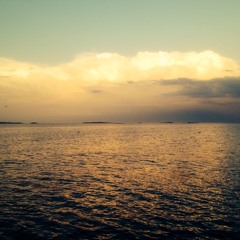 Darrelyn Crommer by Pala Leda