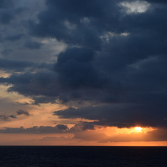 06 - Mr. Tambourine Man