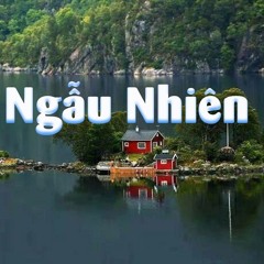 NGẪU NHIÊN -Sáng tác: Trịnh Công Sơn -Trình bày: Ba Con Mèo