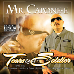 I Did You Wrong - Mr Capone - E