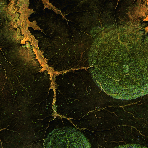 Legiac_Keplerian Orbit