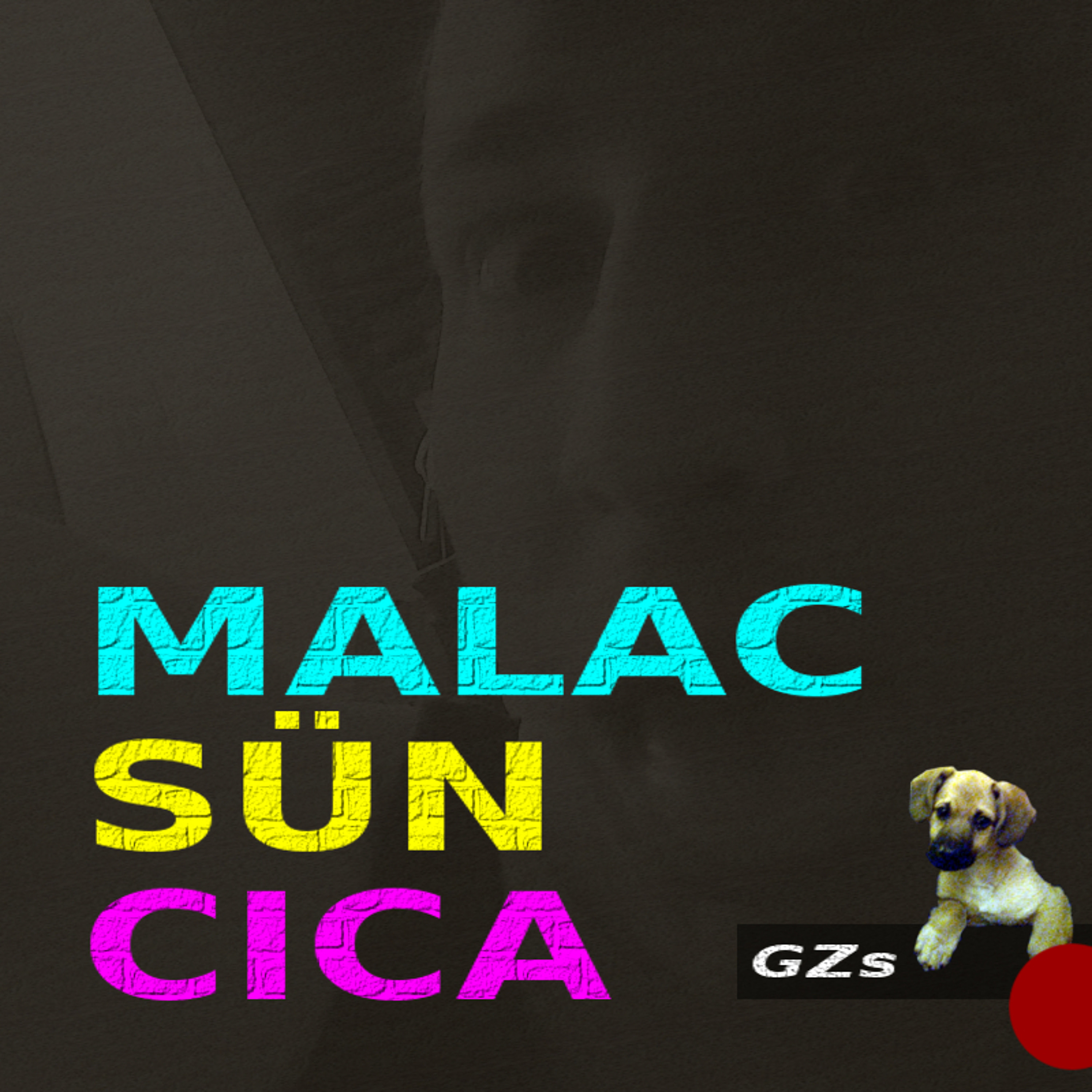 Gál Zsolti